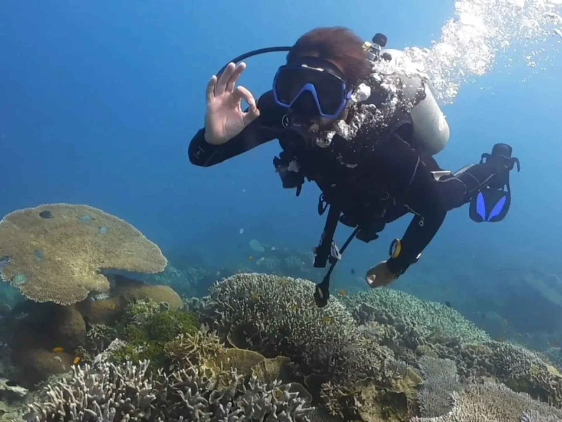 PADI Fun Dive