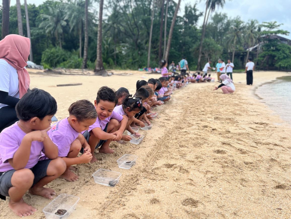 Children releasing baby turtles