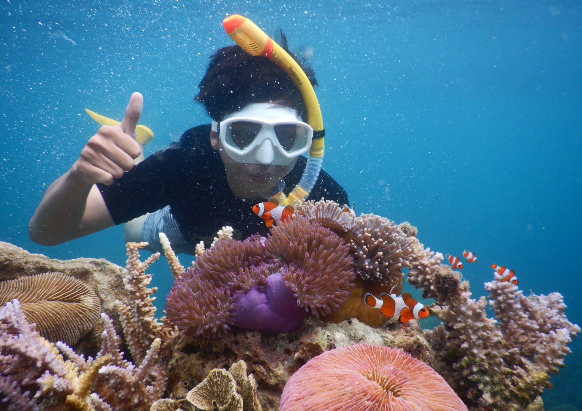 Karimunjawa gallery